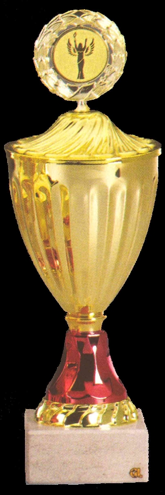 Pokal1